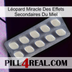 Léopard Miracle Des Effets Secondaires Du Miel 08